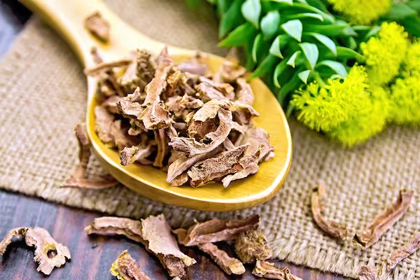 Rhodiola Rosea plant